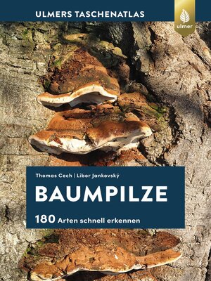 cover image of Baumpilze